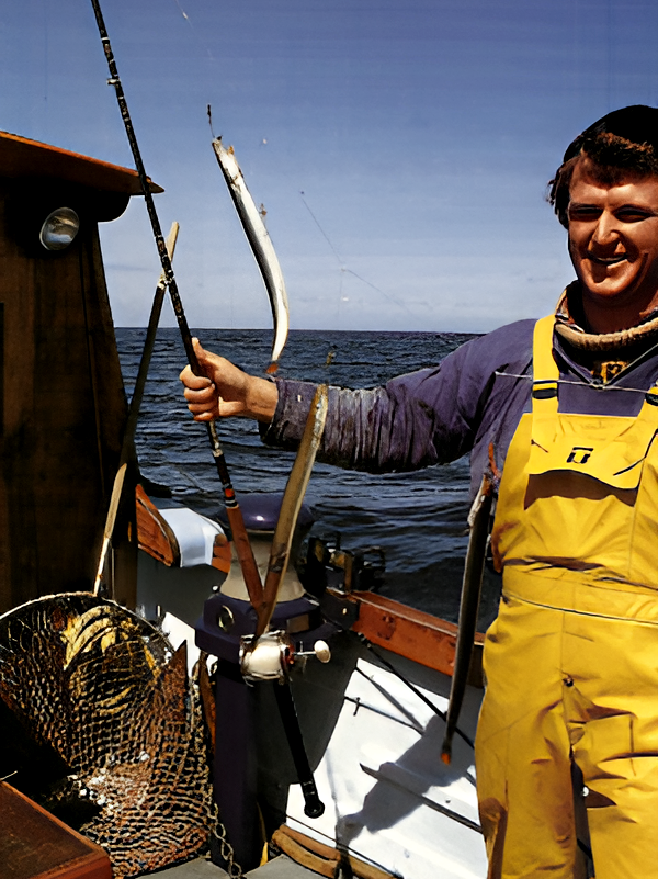 Fangen Sie mehr Fische. Silbrige Sandaale als Top-Köder