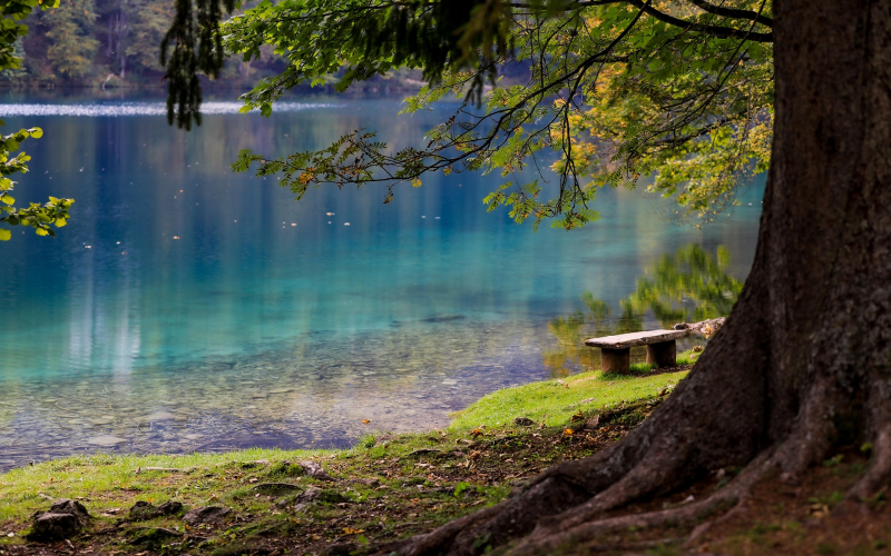 Sorpetalsperre Angeln. Große Hechte, Seeforellen und mehr