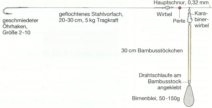 Specimen-Hunting auf große Aale, der Zeitpunkt ist wichtig