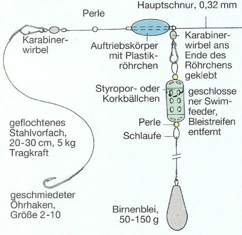 Specimen-Hunting auf große Aale