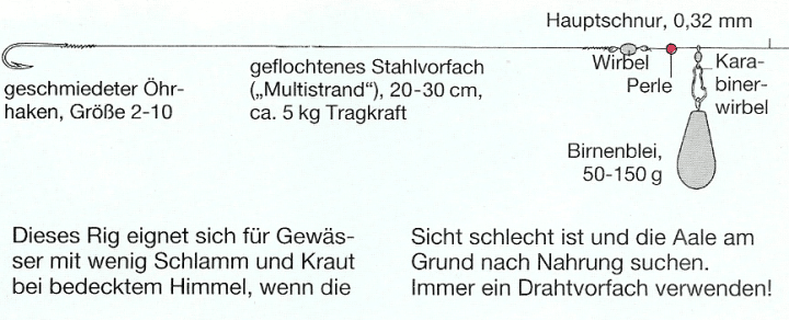 Specimen-Hunting auf große Aale