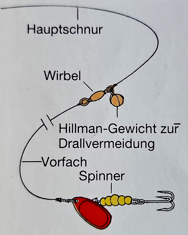 Spinner, Blinker u. Co. Der ultimative Guide zu Kunstködern