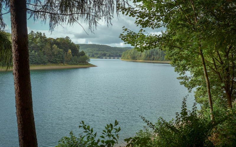 Talsperre Hohenwarte Angeln im Paradies für Hecht- u. Zander