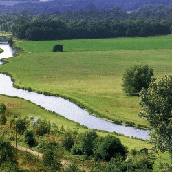 Fischreiche Tieflandflüsse sind bei Anglern beliebt