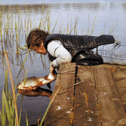 Wie man Fische richtig behandelt