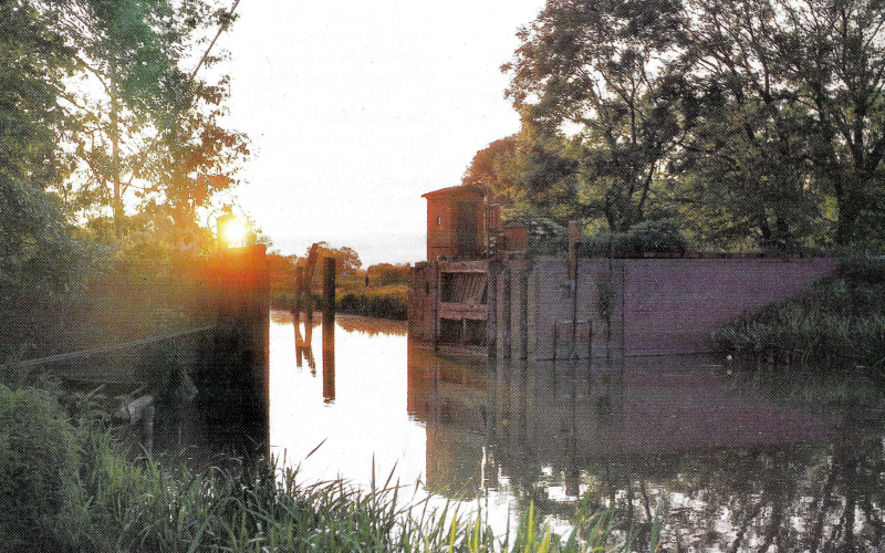 Wilsterau Angeln. Fische und Hotspots in Schleswig-Holstein