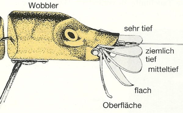 3 Wobbler Typen, flach- tief tauchende und Schwimmwobbler