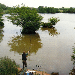 Specimen-Hunting auf große Aale