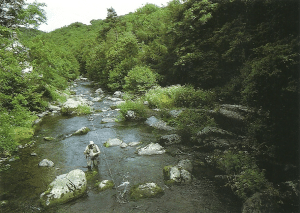 Nymphenfischen am Fluss 