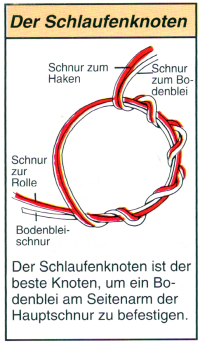 Bodenbleifischen