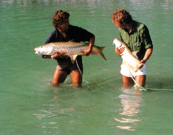 Mahseer