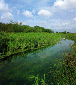 Marschgräben