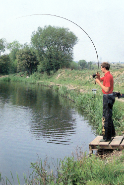 Meisterangler Tom Pickering